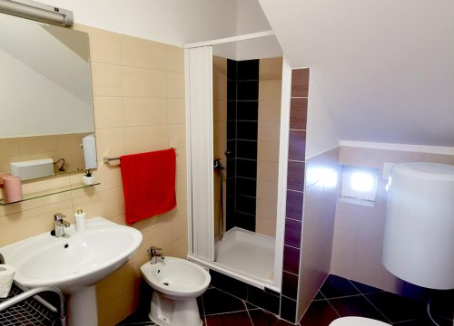 Villa-Mandalena-Buzet-Istria-App2-0-135